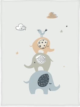 Baby Best Babydecke Microfaserflausch 75x100 cm grau / blau / Elephants