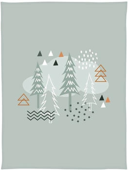 Baby Best Babydecke Microfaserflausch 75x100 cm grün / Nordic Forest