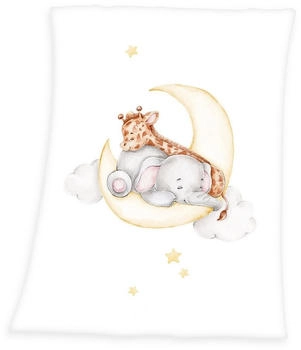 Baby Best Babydecke Microfaserflausch 75x100 cm