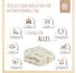 Bieco Kuscheldecke Flausch 75 x 90 cm Zoo Beige