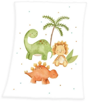 Baby Best Kuscheldecke 75 x 100 cm Dinos