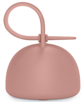 Suavinex Soother Case Selection Silicone up to 2 Soothers +0m Marshmallow Nude