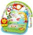 Fisher-Price 3-In-1 Musical Activity Gym