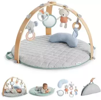 Ingenuity Cozy Spot Wendedecke mit Spielbogen