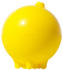 Moluk Plui Rainball