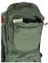 Osprey Poco Premium Koseret Green