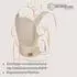 Lionelo Margareet Air Ergonomische Babytrage, atmungsaktiv, beige (LO-MARGAREET AIR BEIGE)