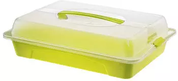 Rotho COOL & FRESH Party Butler 1760506161 , Ma&szlig;e (L x B x H): 43,5 x 29,5 x 11 cm