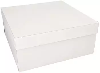Papstar Tortenkarton mit Deckel, eckig, wei&szlig;, 30x30x13cm, 10 St&uuml;ck (18857)