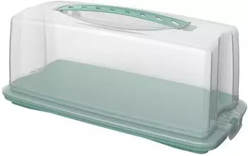 Rotho Fresh Kuchentransportbox rechteckig, grün, Kunststoff (1722505092)