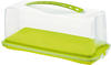 Rotho Kuchenbehälter Fresh Kunststoff 36 x 16,5 x 16,5 cm (grün)