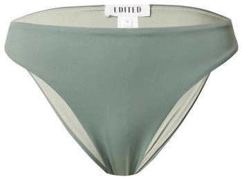 EDITED Bikini-Hose Ike plain