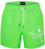Chiemsee Morro Bay Swim Shorts green/white