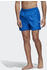 Adidas CLX Solid Badeshorts glow blue (FJ3382-0006)