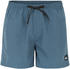 Quiksilver Everyday 15 Swim shorts (EQYJV03531)