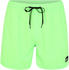 Quiksilver Everyday 15 Swim shorts (EQYJV03531) green gecko