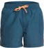 Quiksilver Everyday 15 Swim shorts (EQYJV03531)