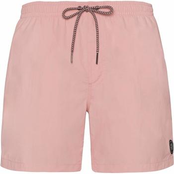 Protest Faster Swim Shorts (2711100) silver pink