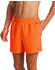 Nike Swim Essentialap 5