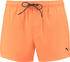 Puma Swimming Shorts (100000029)