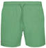 Lacoste Swimming Trunks (MH6270)