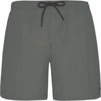 Protest 2711100, PROTEST Herren Badeshorts FASTER beachshort Grey Green male