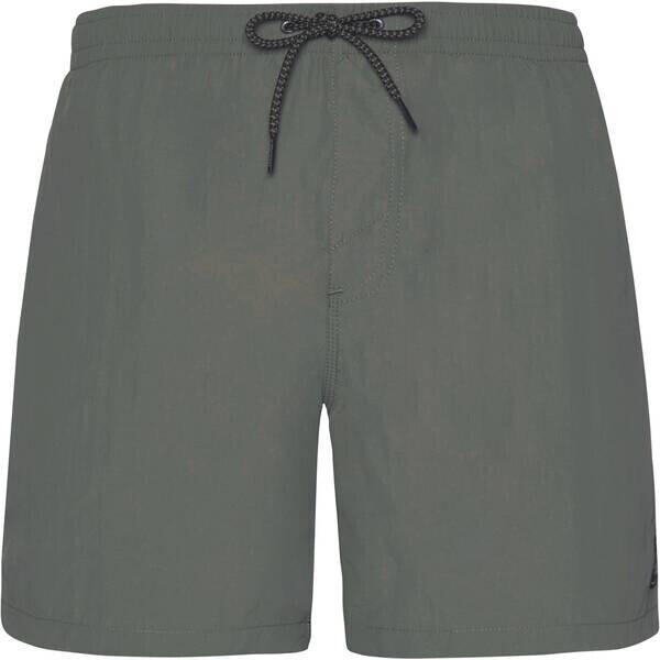 Protest Faster Swim Shorts (2711100) grey green