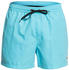 Quiksilver Everyday 15 Swim shorts (EQYJV03531) pacific blue