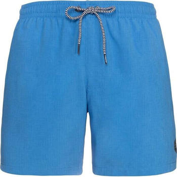 Protest Davey Swim Shorts (2711200) les bleus