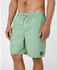 Rip Curl Easy Living Volley Swimming Shorts green (04EMBO-0078)