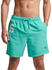 Superdry Vintage Polo Swimming Shorts green (M3010220A-0VT)