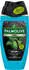 Palmolive Men 3in1 Revitalising Sport Duschgel (250ml)