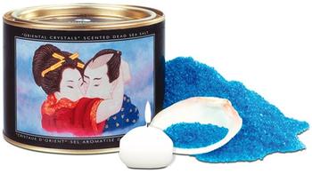 Shunga Aphrodisia Badesalz (600g)