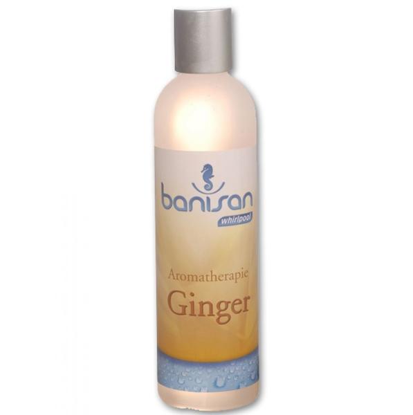 Banisan Whirlpool Aromatherapie Ginger (250ml)
