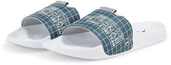 Puma Mercedes Amg Petronas F1 Leadcat 2 0 Trainers blau