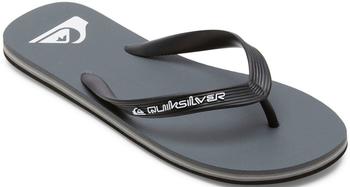 Quiksilver Molokai Core Sandale grau