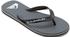 Quiksilver Molokai Core (AQYL101325)