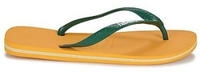 Havaianas 41108501740, Havaianas - Brasil Logo - Sandalen Brazil 35/36 | EU 37-38