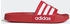 Adidas adidas Sportswear FC Liverpool Adilette Shower Badelatschen JS4965 supplier colour/cloud white/supplier colour