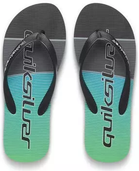 Quiksilver Molokai Art Sandal grau