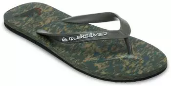 Quiksilver Molokai grape leaf
