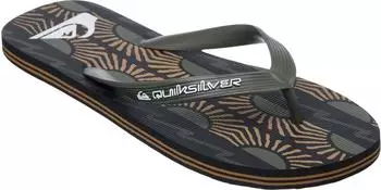Quiksilver Molokai Sport no destination grape