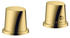 polished gold optic (12422990)