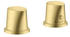 brushed brass (12422950)