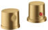 brushed gold optic (38480250)