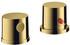 polished gold optic (38480990)
