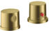 brushed brass (38480950)