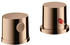 polished red gold (38480300)