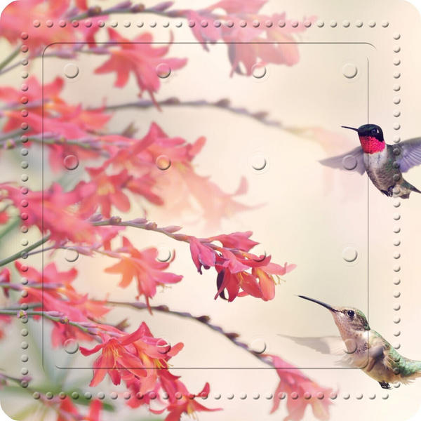 Kleine Wolke Duscheinlage Kolibri multicolor 55 x 55 cm