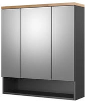 Badspiegelschrank Vicco Eden Anthrazit 70 x 77.5 cm, Model 36896 - Dunkelgrau